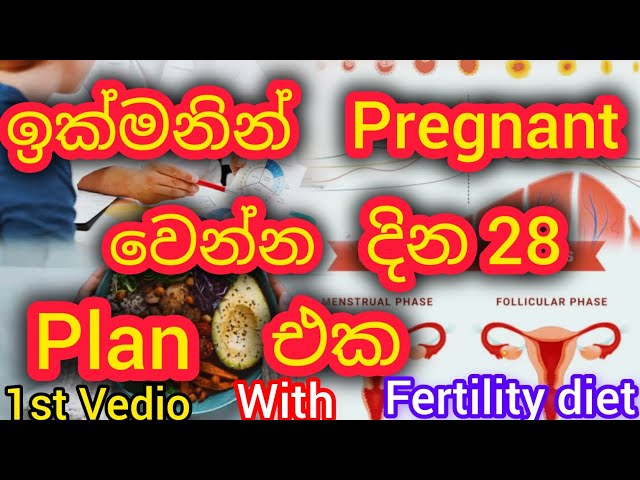 ඉක්මනින් pregnant වෙන්න දින 28 plan එක🤰👍🛑📑||1 වෙනි අදියර||with fertility diet