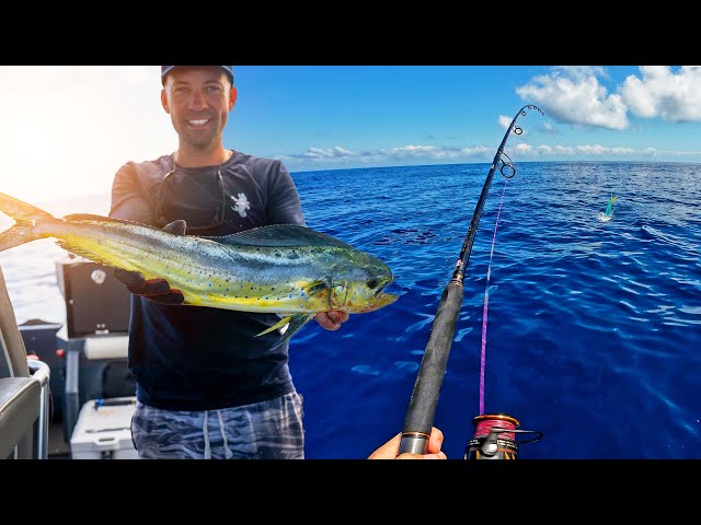 How I Tackle Offshore Fishing SOLO! (Tips & Tricks, Queensland)