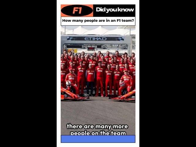 How many people are in AN F1 TEAM?