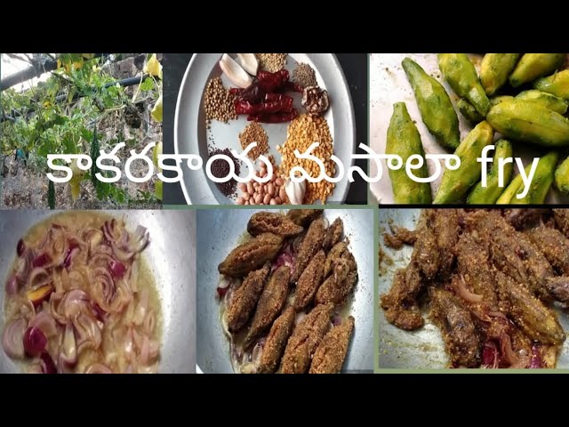 #garden లోని Organic కాకరకాయలతో మా అమ్మ చేసిన👩‍🍳 గుత్తి కాకరకాయ మసాలా fry😋#trending#Vlog#Lotus Talks