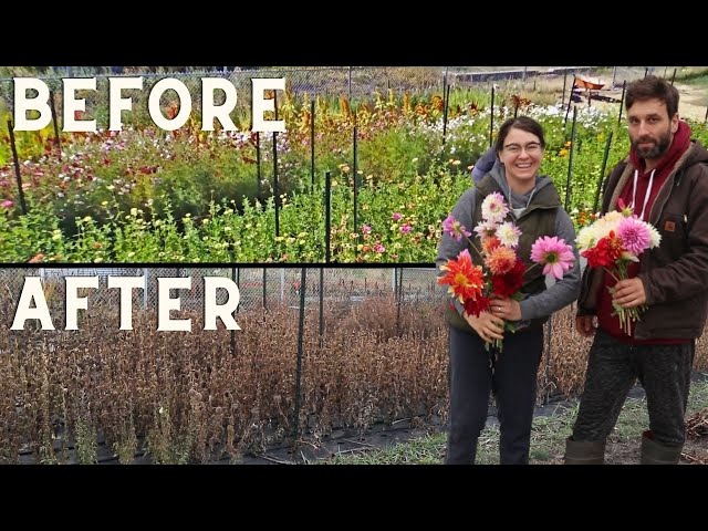 Before and After the Frost Farm Tour