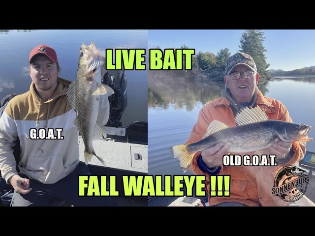 Fall Walleye (Old Technique Still the Best !!! )#walleye #fallfishing #sonnenburgoutdoors