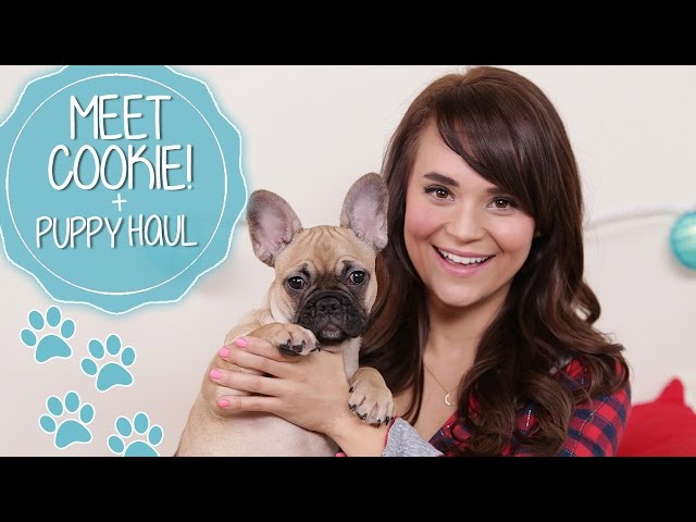 MEET COOKIE! + PUPPY HAUL