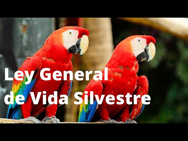 Ley General de Vida Silvestre - Legislación Ambiental