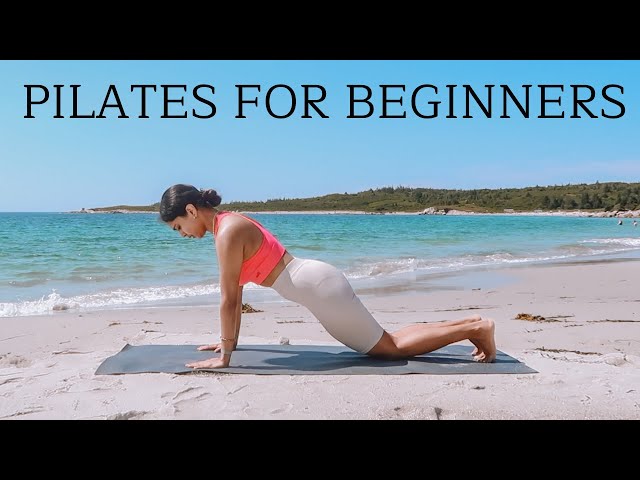 20 min Pilates For Complete Beginners | FULL BODY WORKOUT (No Equipment)