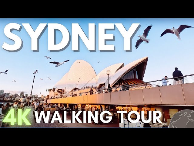 Sydney Walking Tour 4K 🇦🇺 Opera House Walk at Sunset ☀️Circular Quay Virtual Tour for Treadmill