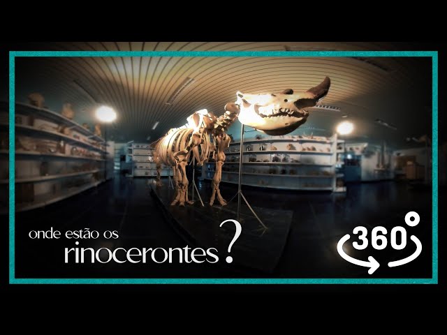 Onde estão os rinocerontes? - documentário 360º do Museu de Anatomia da Unesp