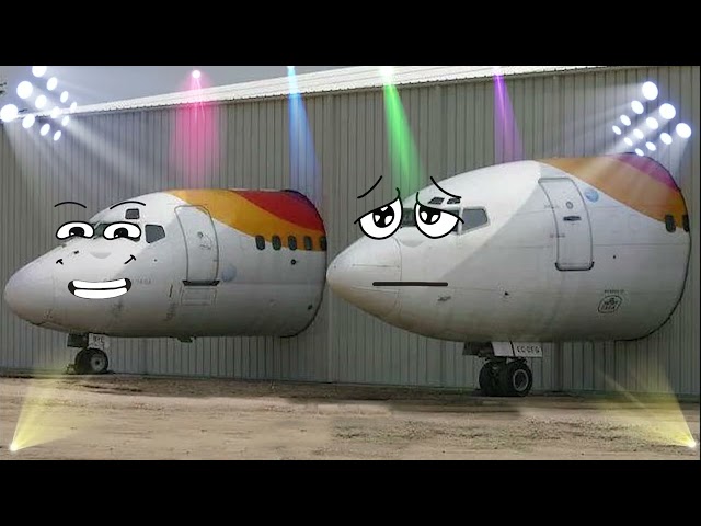 Doodles Airplanes - Doodles are flying and singing - Airplane VS HouseDoodles - Aviation meme