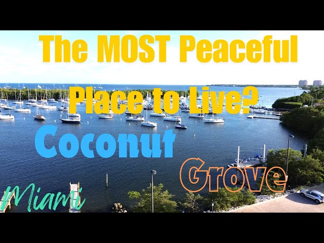 Coconut Grove: Miami's Most Beloved Neighborhood (2024)