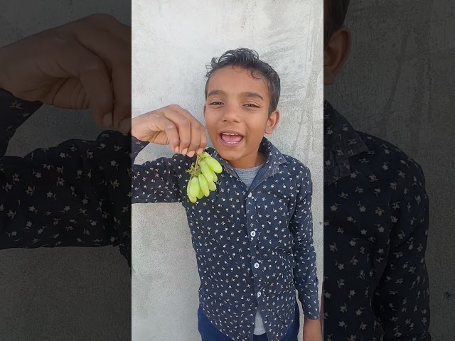 Amar ka grapes 🍇khane tarika kaisa laga 😲🤣👍 #grapes #funny #comedy #shorts