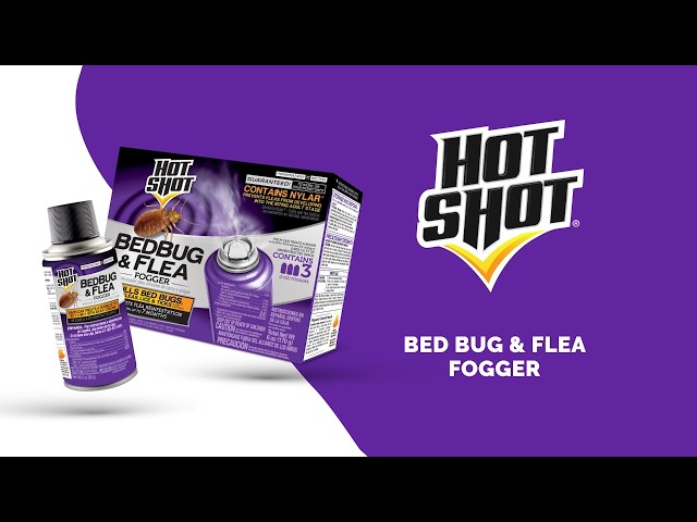 How To Get Rid Of Bed Bugs & Fleas | Hot Shot® Bed Bug & Flea Fogger