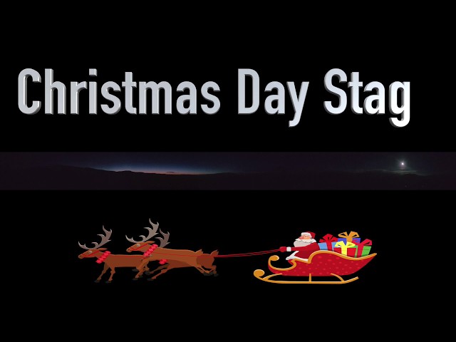 Christmas  Day Stag