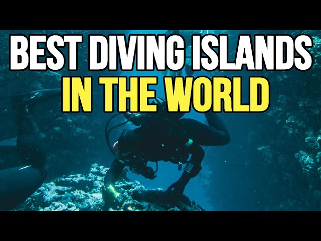 Top 10 Best Scuba Diving Big Island in the World