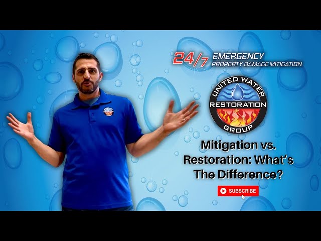 Mitigation vs. Restoration: What's The Difference?