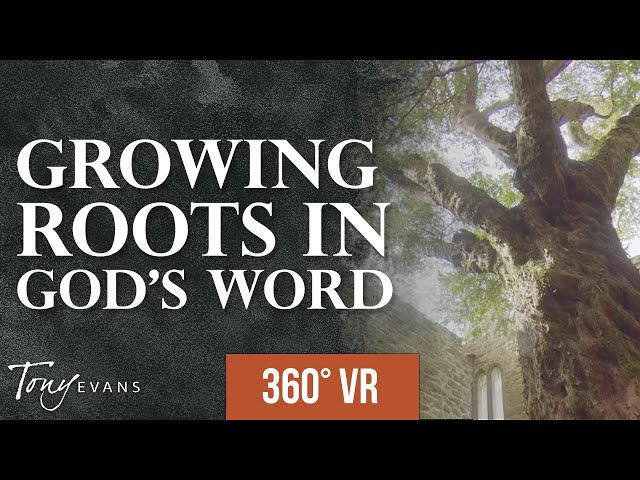 The Seed That Withstands Storms | A Dr. Tony Evans 360° Virtual Reality Experience