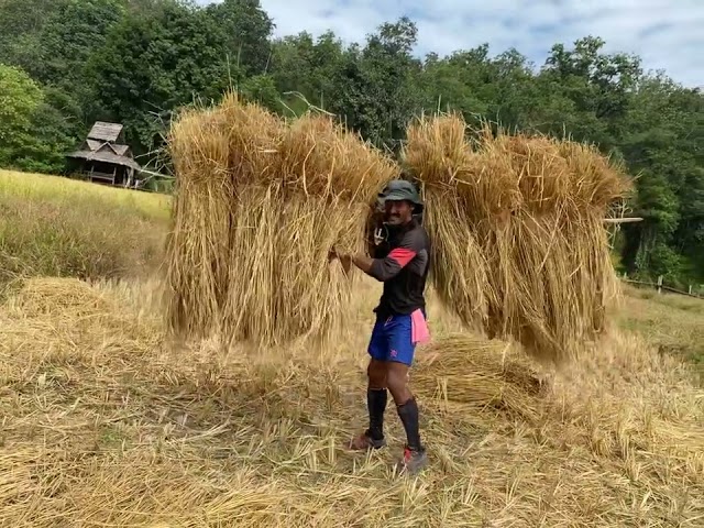 SPORTTROTTER OFF-ROADS (Asian Farmer Test)