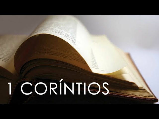 Pregação 1 Coríntios 10:23-11:1 Tema : “Liberdade Cristã e as questões de consciência”.