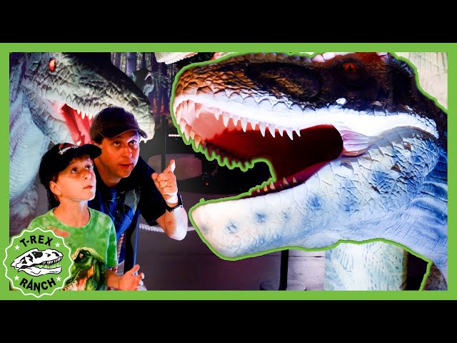 The Robot Dinosaur Tour | 🦖🦕 T-Rex Ranch Dinosaur Videos