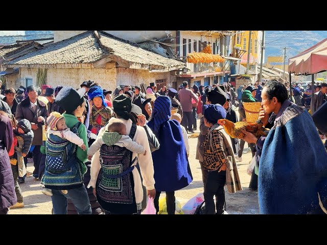 China's Most Unique New Year: Poverty, Fire Trucks & 1000 Pigs 🚨 Inside the Yi Ethnic Celebration