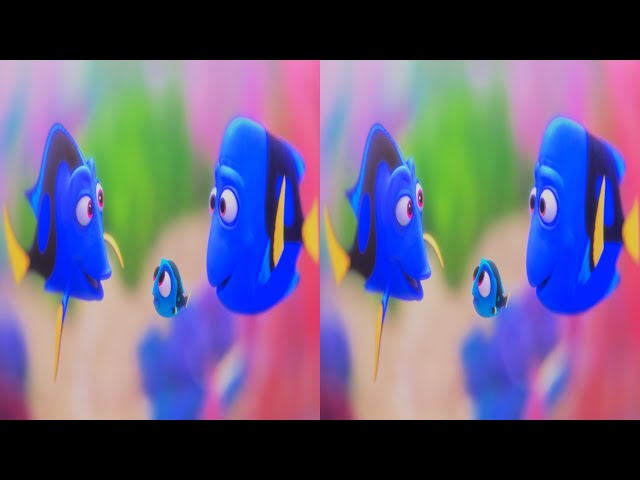 Finding Dory - 3D video 4K HDR - AI Immersive Studios