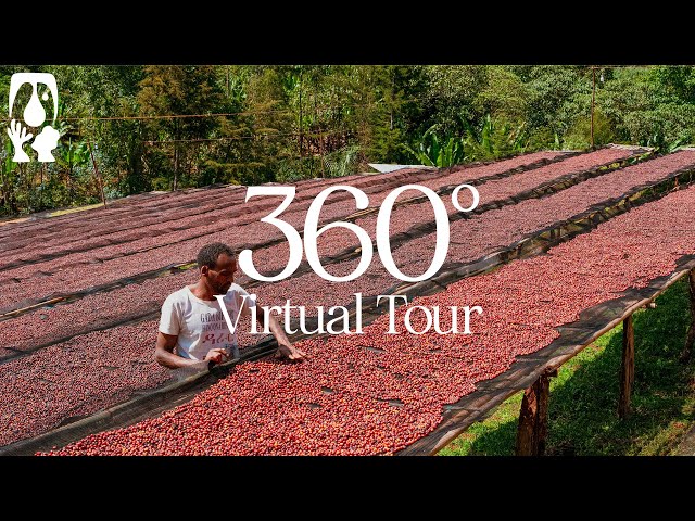 Gujoo Trading [Wate] - TYPICA's 360° Virtual Tour