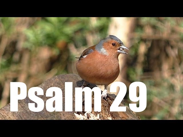 Psalm 29 - Lobpreis auf Gottes Herrlichkeit