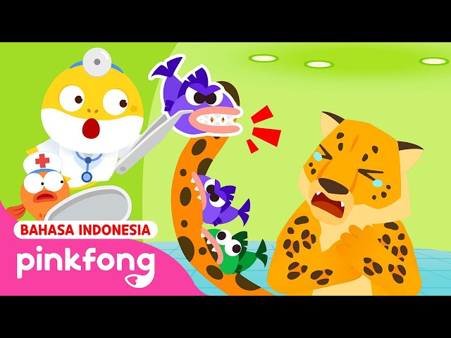 Roar! Teman Predator Menakutkan | Kartun Anak | Main Rumah Sakit | Baby Shark Indonesia