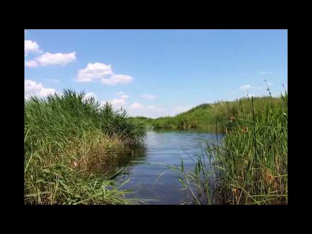 Родина, Природа, Motherland. Nature. River