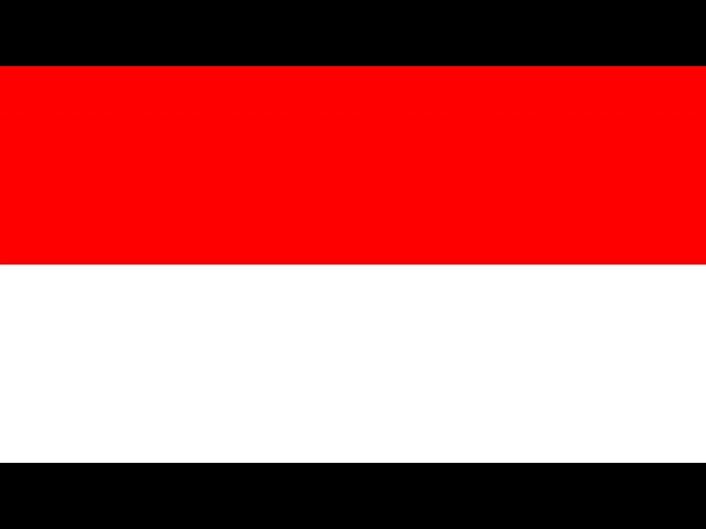 The flag of Indonesia (Background)