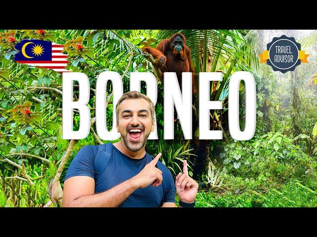 Secret Locations That Most Tourists Never See | Borneo Travel Vlog Pt. 2