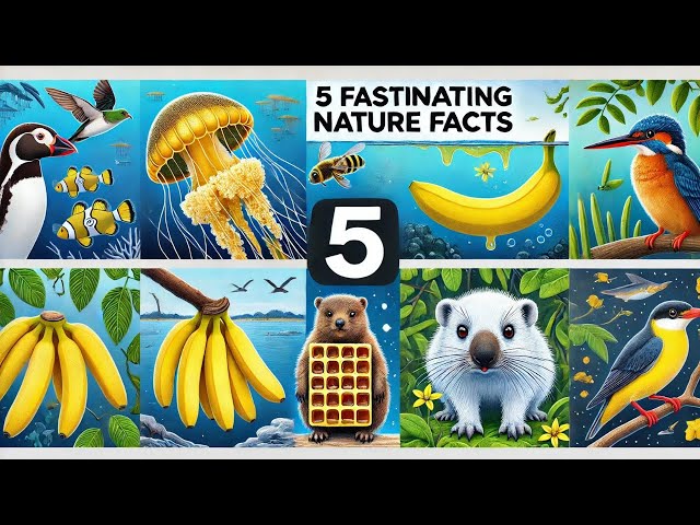 5 Fascinating Nature Facts: Jellyfish, Radioactive Bananas, Timeless Honey, Migration, Square Poop!