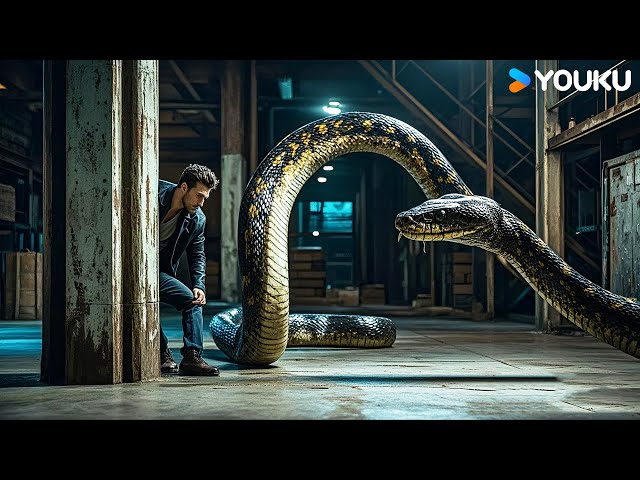 Can the man escape the giant python's pursuit? | Snake Island Python |YOUKU MONSTER MOVIE