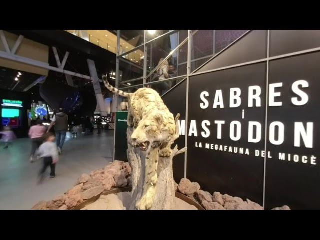 Science museum - part one #vr180 stereoscopic 3d