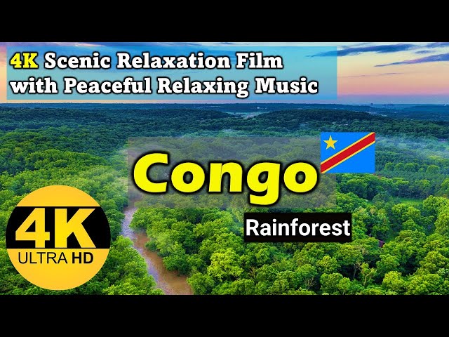 Congo Rainforest Beauty Relaxation Film | Relaxing Music With Beautiful Nature Scenes Video