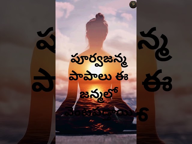 పూర్వజన్మ పాపాలు ఈ జన్మలో వెంటపడ్తాయి by chaganti videos