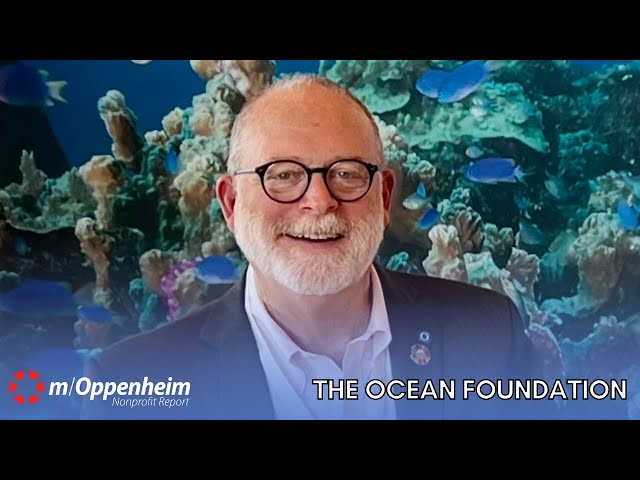 The Ocean Foundation | Nonprofit Report