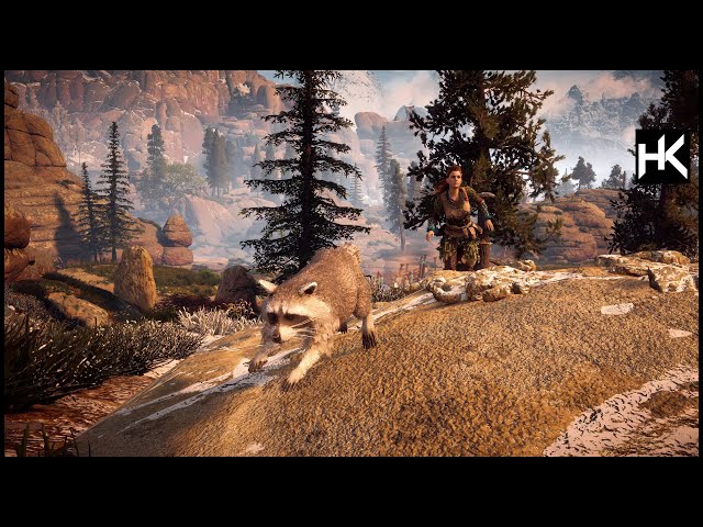 RACCOON IN HORIZON ZERO DAWN!