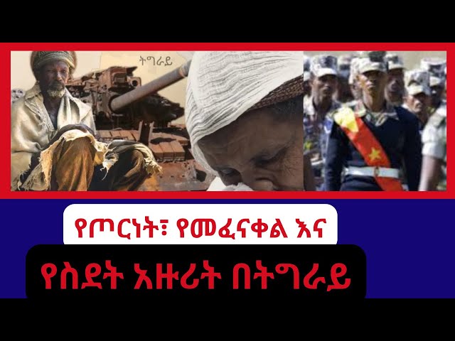 የጦርነት፣ የመፈናቀል እና የስደት አዙሪት በትግራይ