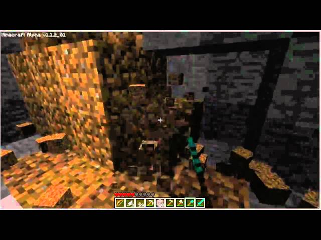 Fun in Minecraft - Video 009: Coal and Getting Lost