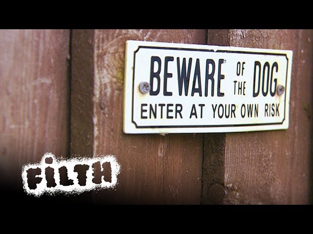 How To Clean The Garden From Hell | Worst Homes in the UK | Filth Fighters