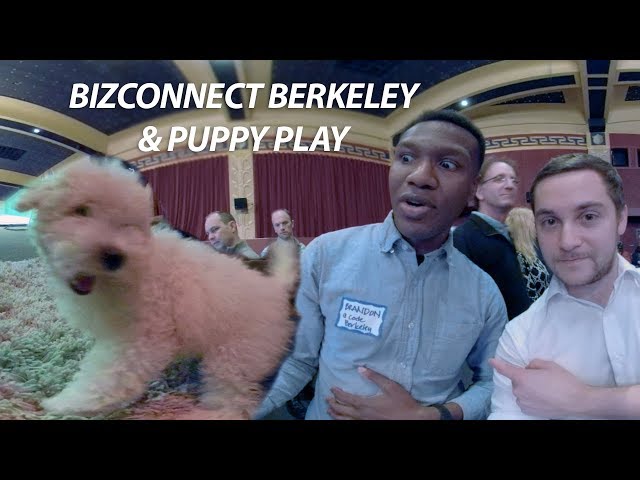 BERKELEY BIZCONNECT & PUPPY PLAY (360° VR)