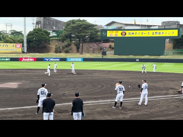 藤川阪神初シートノック その2 抜擢山田脩也&高寺望夢内野手のグラブ捌き守備に注目☝️プロ野球マニア必見👀阪神沖縄宜野座キャンプ2025/2/1 #阪神タイガース #阪神 #佐藤輝明