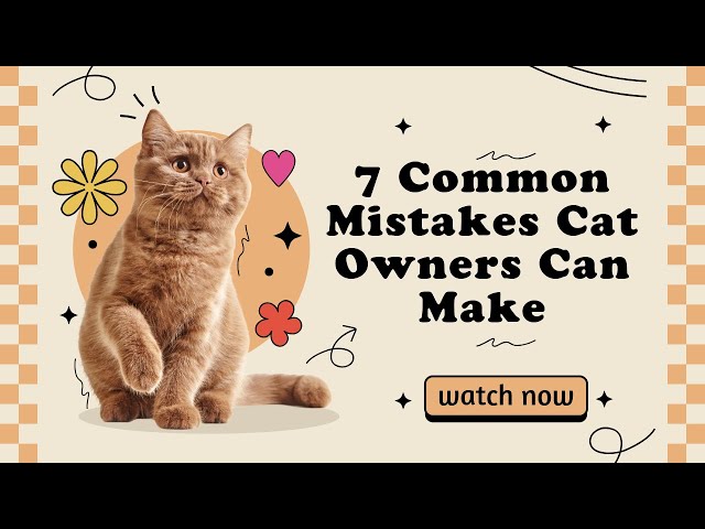 7 Common Mistakes Cat Owners Can Make. #cat #catowners #catlovers