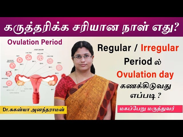 Ovulation : கருத்தரிக்க சரியான நாள் எது? Best Days To Get Pregnant | How to Calculate Ovulation days