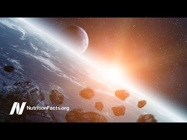 Miocene Meteorites and Uric Acid