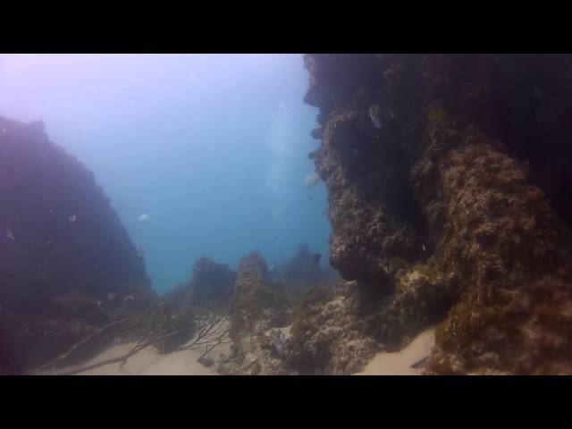 tweedmouthwreck