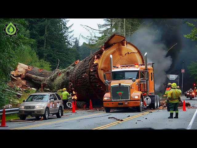 Dangerous Idiots Truck & Heavy Equipment Fails Compilation | Extreme Truck Idiots at Work #54