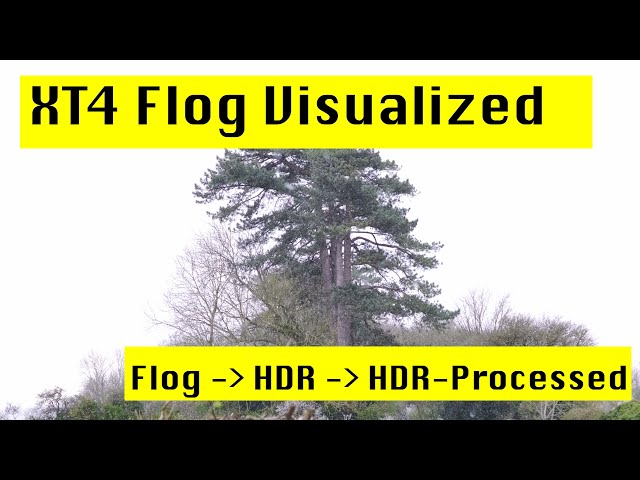 Quick Demo Of How Flog Transforms Into HDR