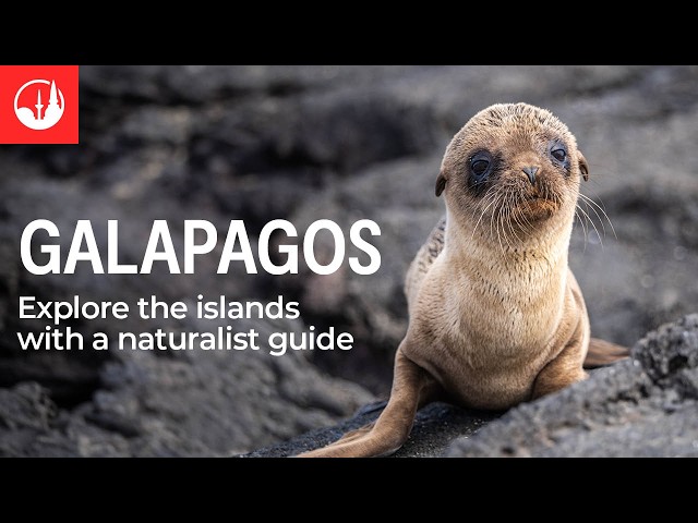 Experience the Galapagos Islands with Intrepid Travel