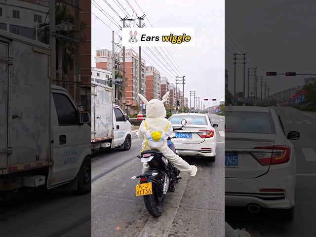 Huh ?! 😂🥰#viral #funny #motovlog #trending #top #motorcycle #bike #bikelover #short #bikeshort #cute